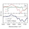 zinth_chemcommun_2014_500.100x0.jpg