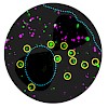 brauchle_mickler12_nanoletters_500.100x0.jpg
