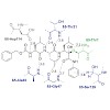 groll_120_voss_chemmedchem_2014_500.100x0.jpg