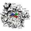 itzen_jacs2014_500.100x0.jpg