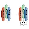 groll_111_berthelmann_orgbiomolchem_2014_500.100x0.jpg