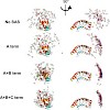 sattler_biomol_nmr_08_3_500.100x0.jpg