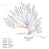 hake_ladurner_epigenetics___chromatin_2012_500.100x0.jpg