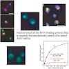 jansen_embo_500.100x0.jpg