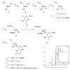 carell_chem_500.100x0.jpg