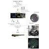 misgeld_methodsinenzymology2014_500.100x0.jpg