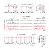 konnerth_busche_et_al_pnas_2012_500.100x0.jpg