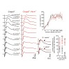 plos2016_michalakis_biel_500.100x0.jpg