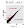 schotta-genes_dev_-2016-ramesh-2199-212_500.100x0.jpeg