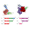 antes-lamb-buchner-nat_struct_mol_biol_2018_rosam_1_550.100x0.jpg