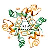 buchner_weinkauf_2011_pnas_500.100x0.jpg