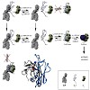 buchner_kessler_cell_09_500.100x0.jpg