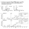 imhof_nucleic_acids_research_2011_500_2.100x0.jpg