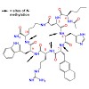 kessler_727_2015_jmedchem_500.100x0.jpg