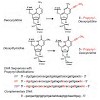 gaub_chemphyschem2015_500.100x0.jpg