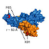 tinnefeld-gust_chembiochem_2018_550.100x0.jpeg