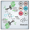 groll-152_marion_acs_chembiol_2017_550.100x0.jpeg