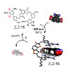 dube-petermayer_2018_accchemres_550.100x0.jpeg