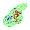 beckmann_leonhardt_2021_lei_embo_550.100x0.jpg