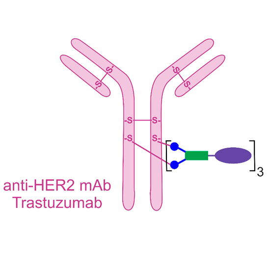 cipsm_huc_paper_pharmaceuticals2021_624_550.jpeg